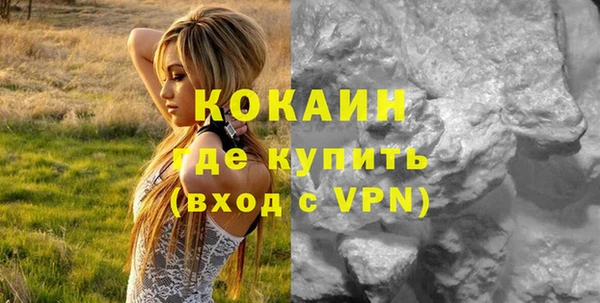 индика Воткинск