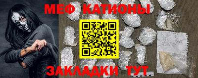 индика Гатчина