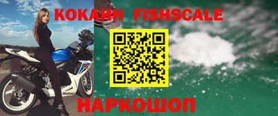 индика Гатчина