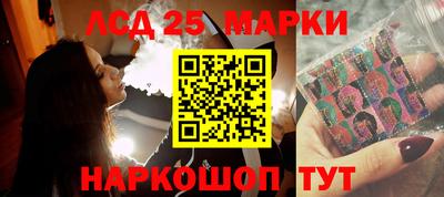 индика Гатчина