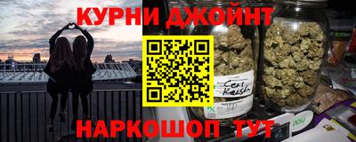 индика Гатчина
