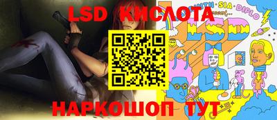 индика Гатчина