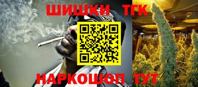индика Гатчина