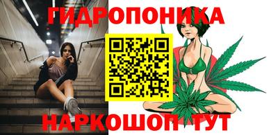 индика Гатчина