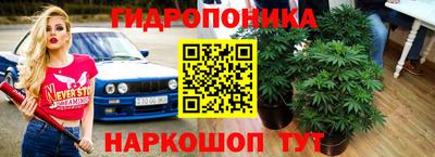 каннабис Гатчина