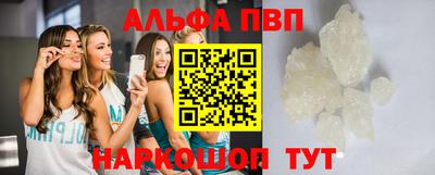 индика Гатчина
