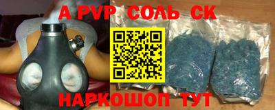 индика Гатчина