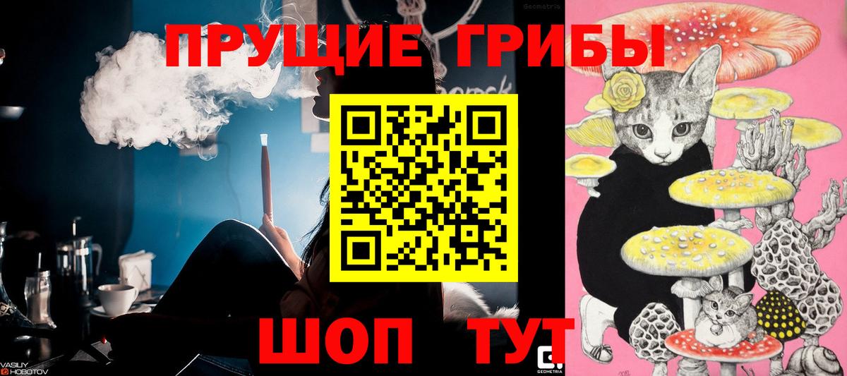 Псилоцибиновые грибы мухоморы  Галлюциногенные грибы Psilocybine cubensis  Вход с VPN  Камышин 