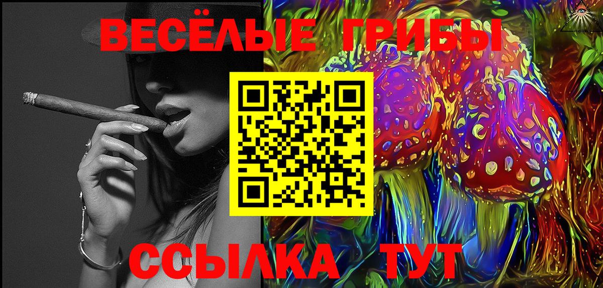 Галлюциногенные грибы GOLDEN TEACHER Камышин
