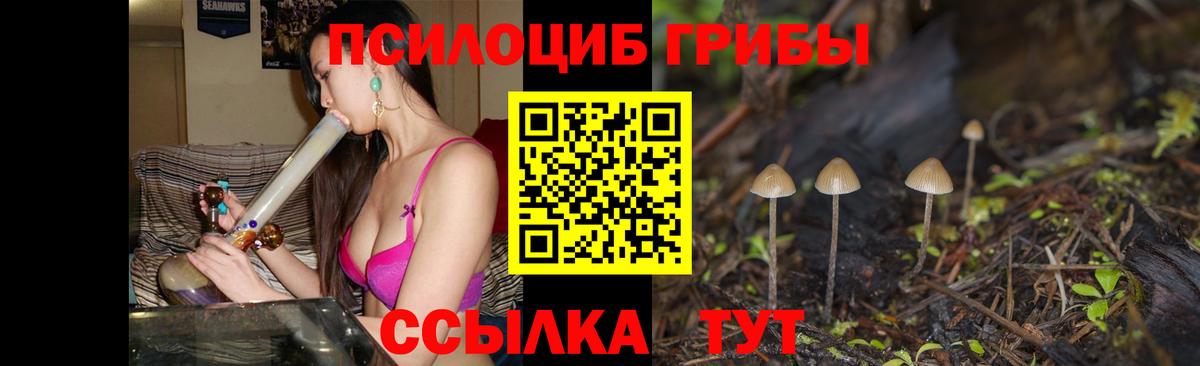 Codein Камышин
