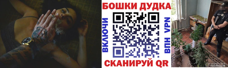 где найти   Камышин  Шишки марихуана семена 